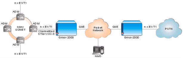 Gmux-2000_Diagram_2_0606