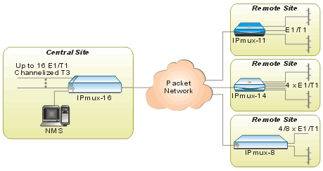 IPmux-11_Diagram_1_0606