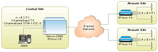 IPmux-14_Diagram_2_0606