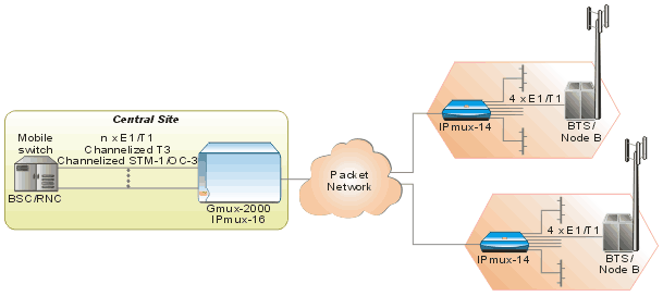 IPmux-14_Diagram_4_0606