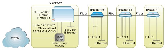 IPmux-16_Diagram_2_0606